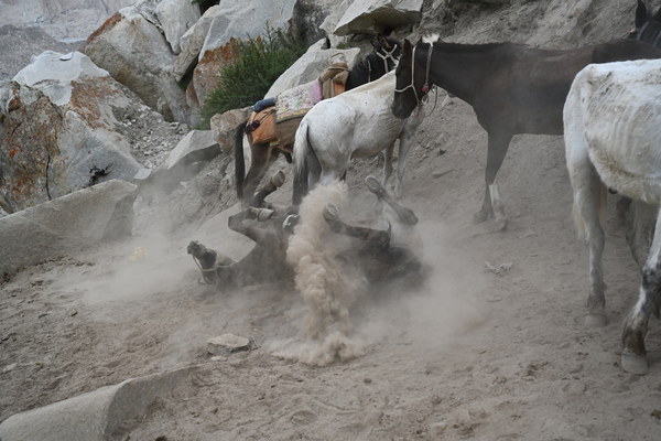 ����������� �� �2. ���� 2023 ����. ���� ������� ���������, ���� 21