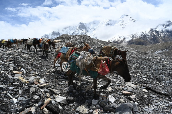 ����������� �� �2. ���� 2023 ����. ���� ������� ���������, ���� 29