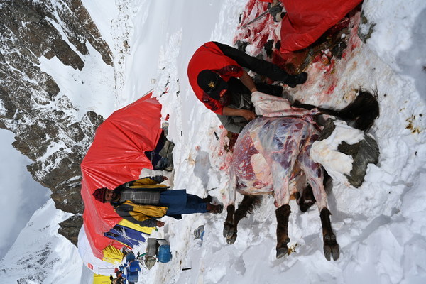 ����������� �� �2. ���� 2023 ����. ���� ������� ���������, ���� 80