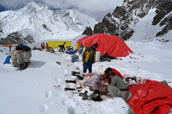 ����������� �� �2. ���� 2023 ����. ���� ������� ���������, ���� 81