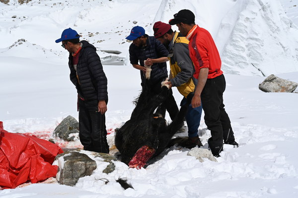 ����������� �� �2. ���� 2023 ����. ���� ������� ���������, ���� 84