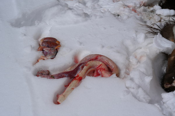 ����������� �� �2. ���� 2023 ����. ���� ������� ���������, ���� 90