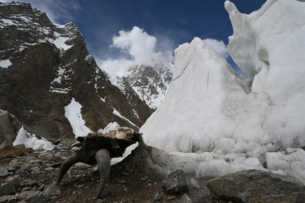 ����������� �� �2. ���� 2023 ����. ���� ������� ���������, ���� 151