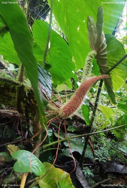 �������. ������ 2023 ���� ������ - ���������, ���� 123