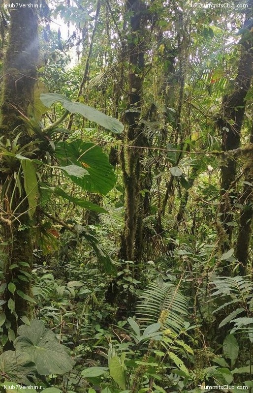 �������. ������ 2023 ���� ������ - ���������, ���� 135