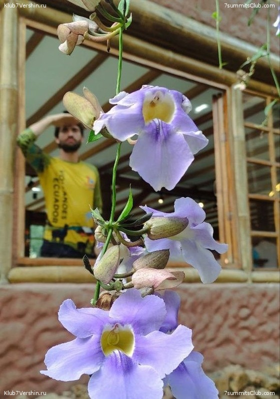 �������. ������ 2023 ���� ������ - ���������, ���� 119