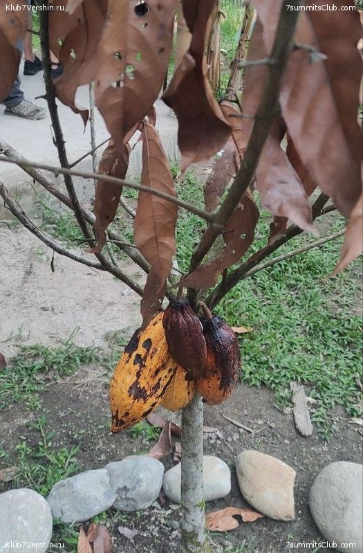 �������. ������ 2023 ���� ������ - ���������, ���� 130