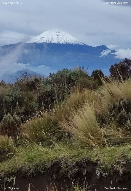 ����������� �� ������ ���������, �������