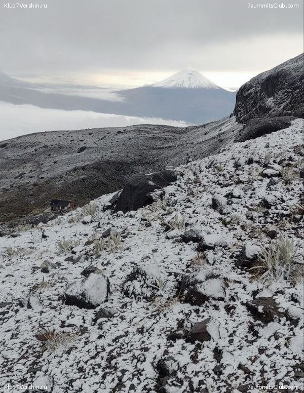 ����������� �� ������ ���������, �������