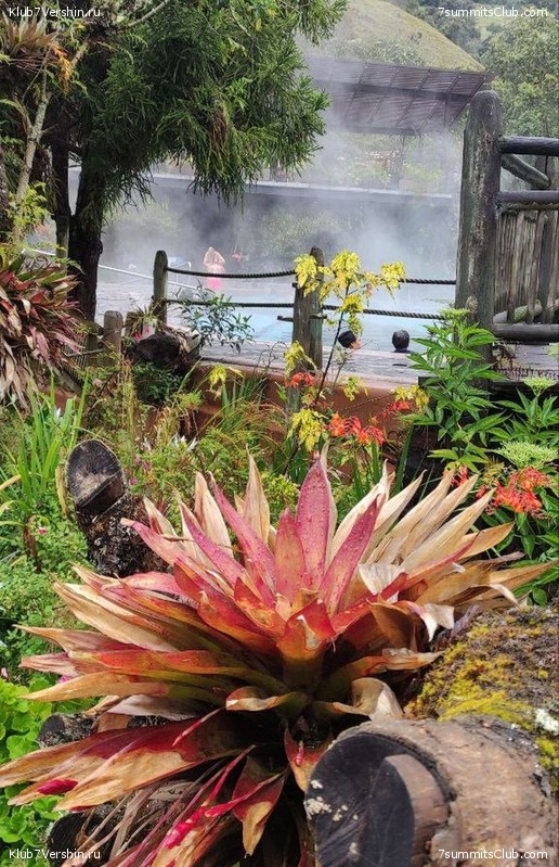 �������. ������ 2023 ���� ������ - ���������, ���� 134