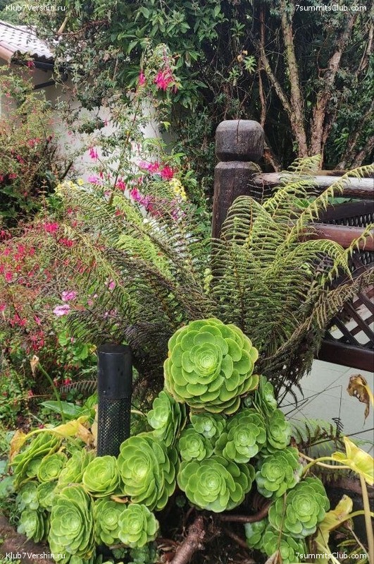 �������. ������ 2023 ���� ������ - ���������, ���� 127