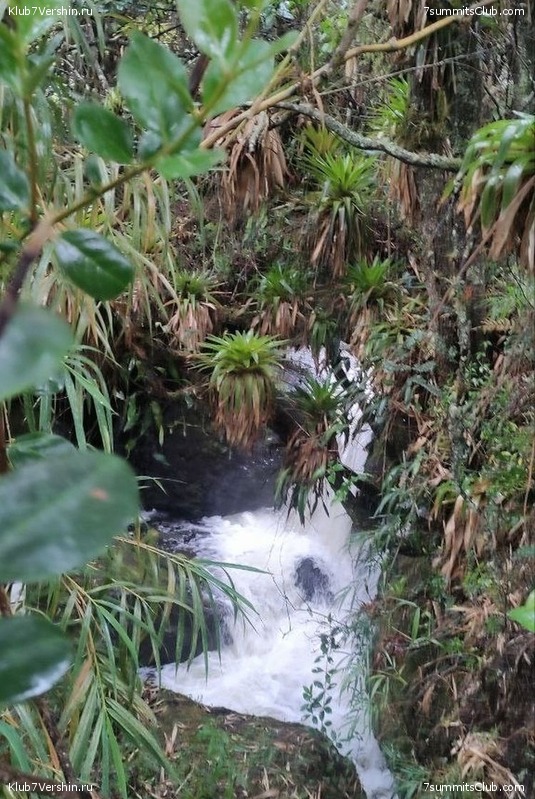 �������. ������ 2023 ���� ������ - ���������, ���� 125