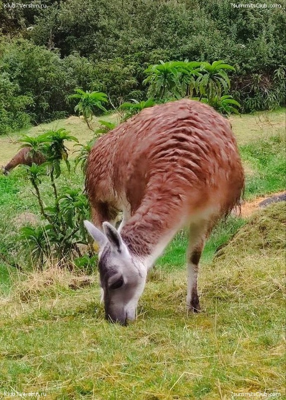 �������. ������ 2023 ���� ������ - ���������, ���� 118