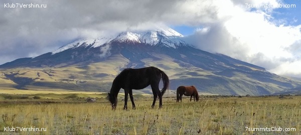 ������� �������, ���� 2