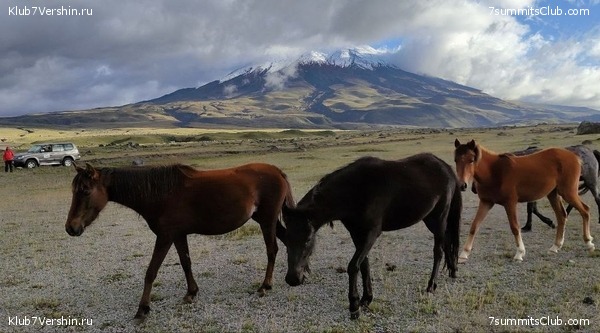 ������� �������, ���� 27