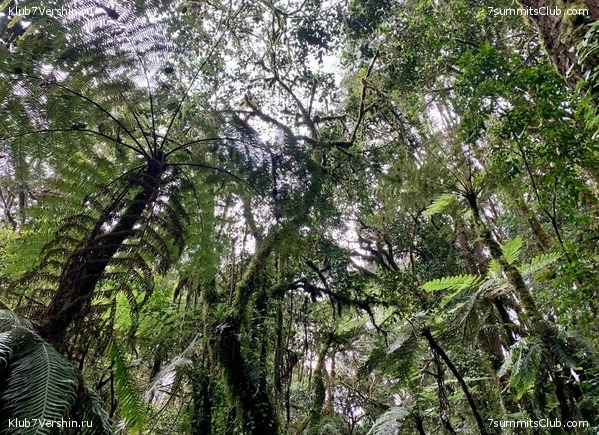 ������������ 2023-2024, ����� ���������, ���� 169