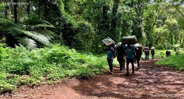 ������������ 2023-2024, ����� ���������, ���� 2