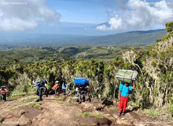 ������������ 2023-2024, ����� ���������, ���� 176