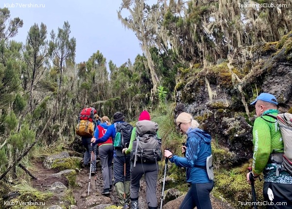 ������������ 2023-2024, ����� ���������, ���� 157