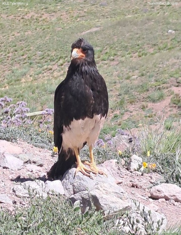 ��������� 2023 - 2024. ������� ������� - ��������� ���������, ���� 94