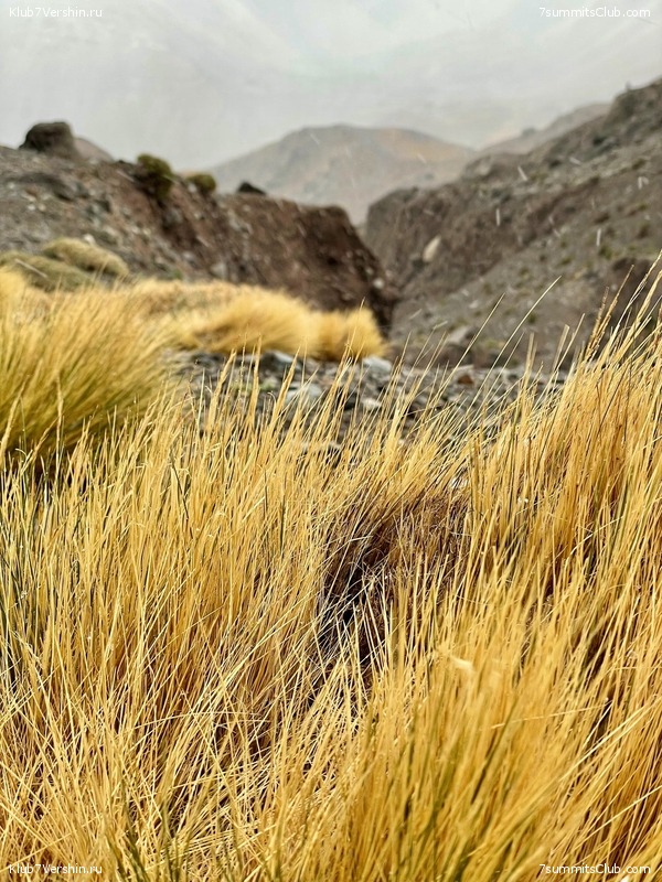 ��������� 2023 - 2024. ������� ������� - ��������� ���������, ���� 109