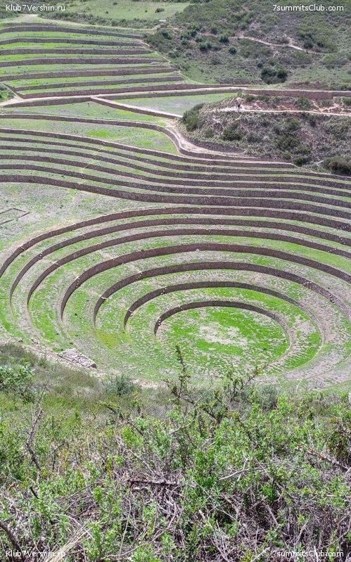 ����. �������� ����. 2023 - 2024. ������ �������, ���� 81