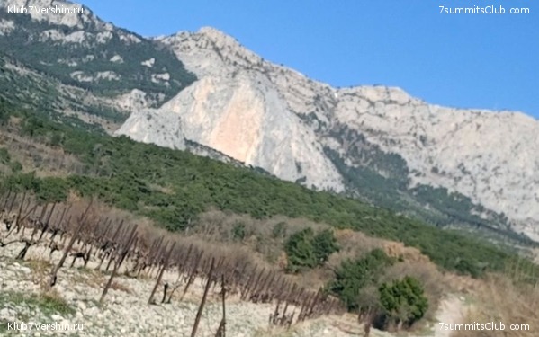 �������� ���� � ����� 2023 ���, ���� 22