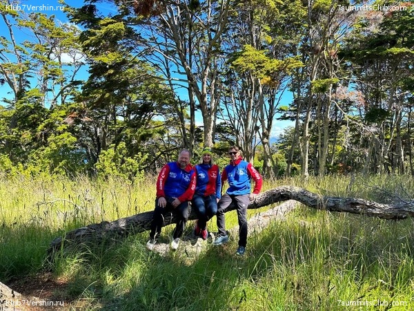  2023 - 2024.   . . ,  31