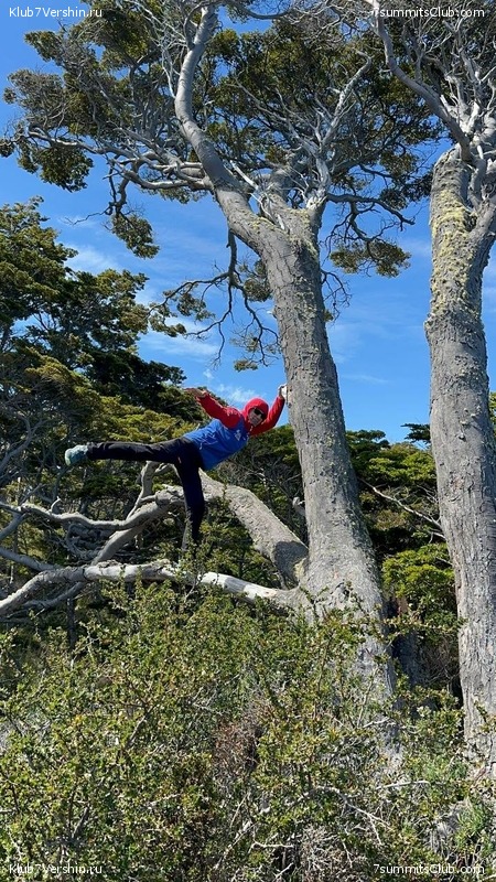 ���������� 2023 - 2024. ���������� �� ������. �. ���������, ���� 100