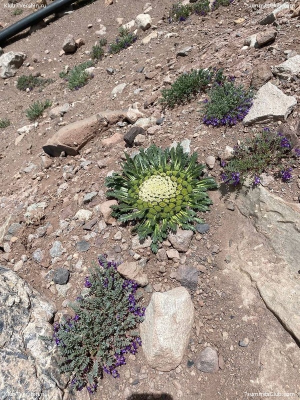 ��������� 2023 - 2024. ������� ������� - ��������� ���������, ���� 111