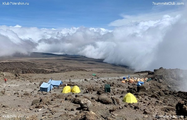 ������������ 2023-2024, ����� ���������, ���� 29