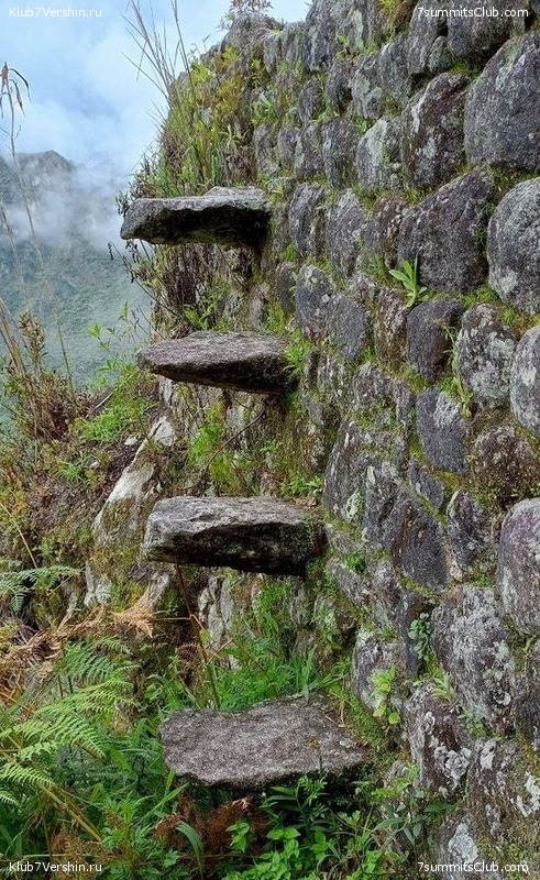 .  . 2023 - 2024.  ,  86