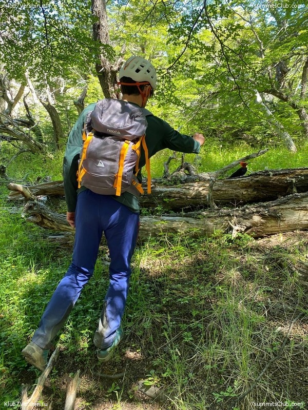 . . 2023-2024.  ,  42