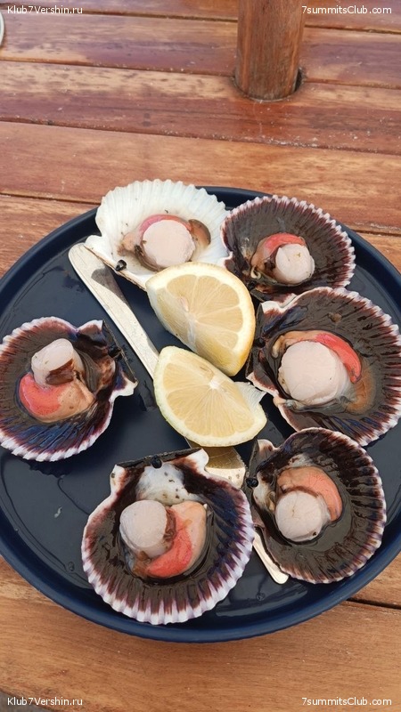 ���� ���� ������ 2024. ������. ������ ������, ���� 152