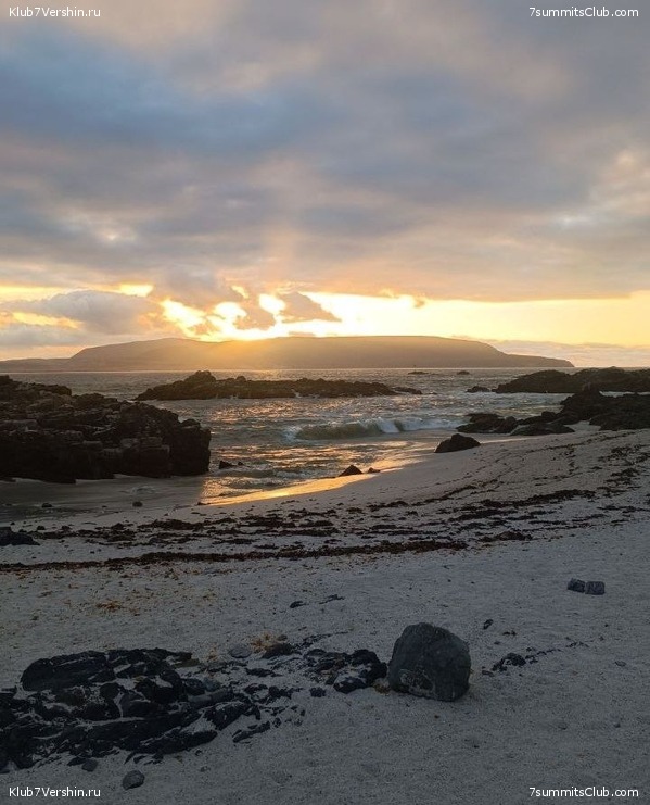 ���� ���� ������ 2024. ������. ������ ������, ���� 88