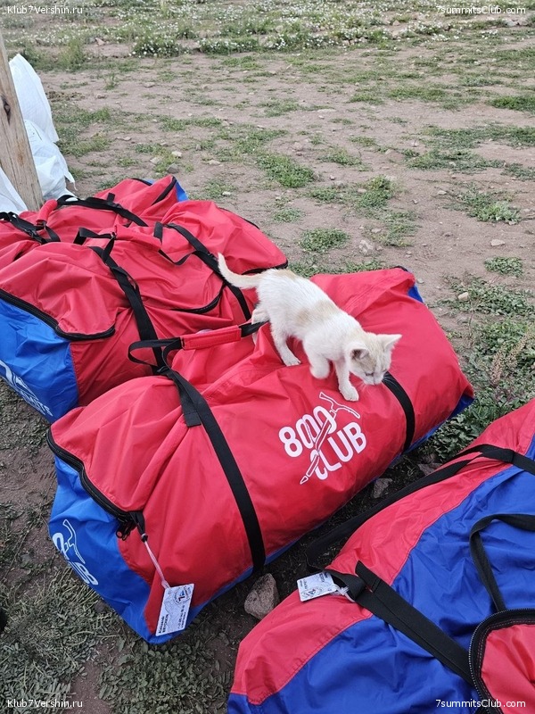 ��������� 2024 ���, ������ ������� - ���������, ���� 65