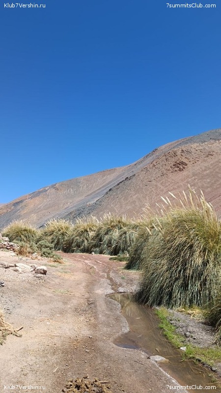 ���� ���� ������ 2024. ������. ������ ������, ���� 154