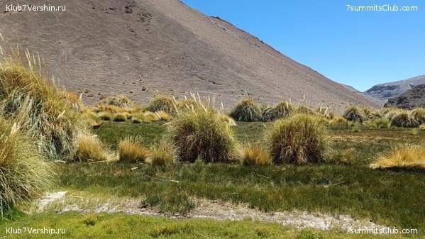 ���� ���� ������ 2024. ������. ������ ������, ���� 14