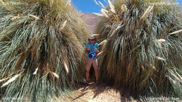 ���� ���� ������ 2024. ������. ������ ������, ���� 18