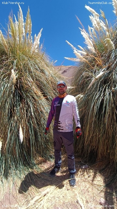 ���� ���� ������ 2024. ������. ������ ������, ���� 155