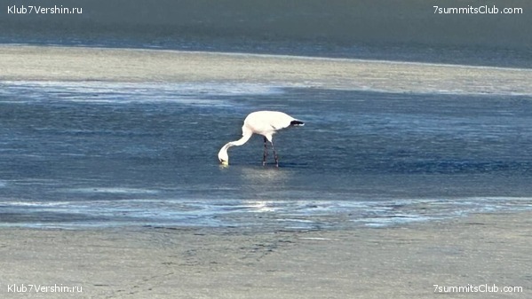 ���� ���� ������ 2024. ������. ������ ������, ���� 19