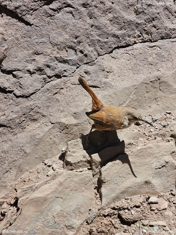 ��������� 2024 ���, ������ ������� - ���������, ���� 71