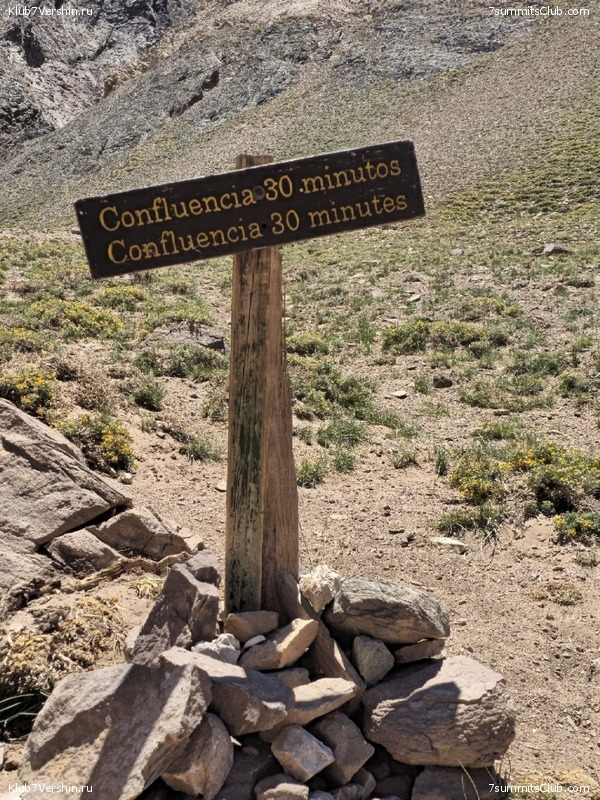 ��������� 2024 ���, ������ ������� - ���������, ���� 75