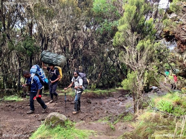 ������������ 2023-2024, ����� ���������, ���� 196