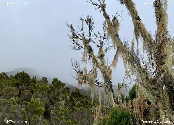 ������������ 2023-2024, ����� ���������, ���� 159