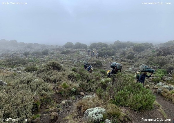 ������������ 2023-2024, ����� ���������, ���� 145