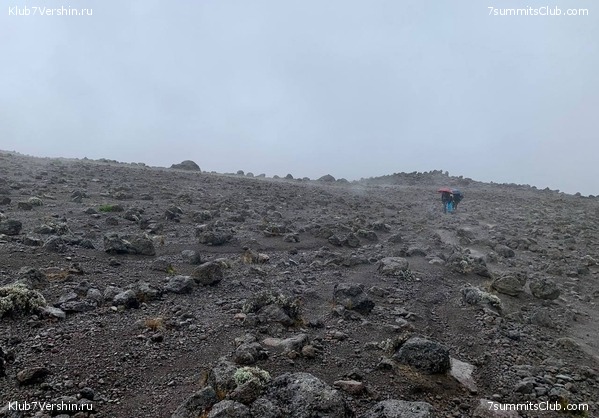 ������������ 2023-2024, ����� ���������, ���� 110