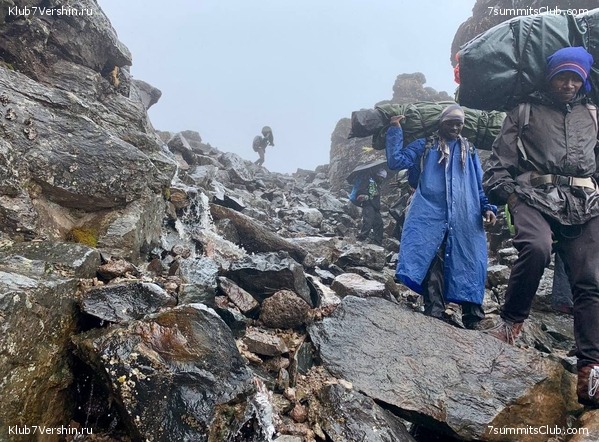 ������������ 2023-2024, ����� ���������, ���� 184