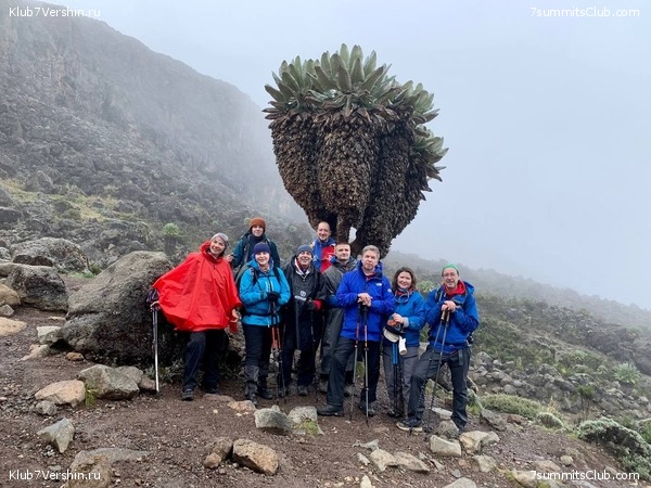 ������������ 2023-2024, ����� ���������, ���� 237