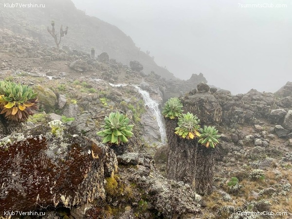 ������������ 2023-2024, ����� ���������, ���� 239